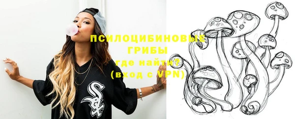 гидра Вязники