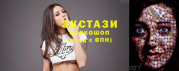 молекула духа Вязьма