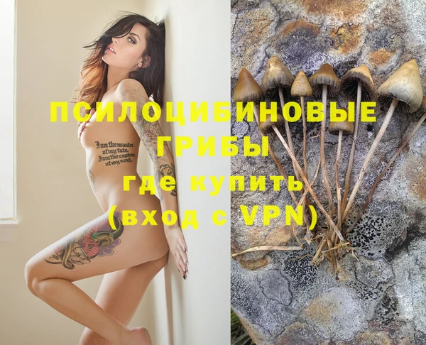 гидра Вязники