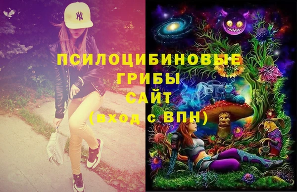 spice Горняк