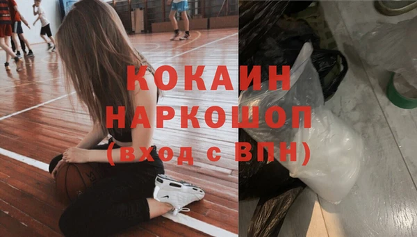 spice Горняк