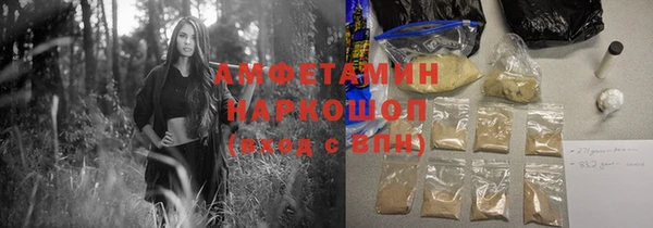 молекула духа Вязьма